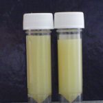 1-s2.0-S0954611109002583-gr3