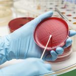 Urine-Culture-Test-Finding-the-Cause-of-UTI_2b3b778e-2fb8-46a7-9def-c08cf785d2ab_1280x