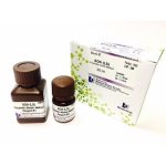 adenosine-deaminase-ada-500x500