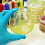 Drug susceptibility testing bacteria