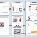 images_medium_figure2