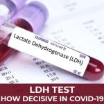 ldh_-_web_1_
