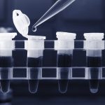PCR (polymerase chain reaction) strip, eppendorf tubes and micropipette.