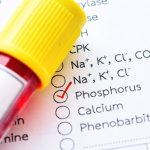 what-is-phosphorus-used-for