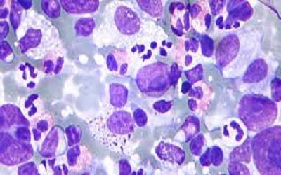 Cytology
